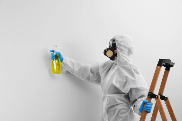 Why You Should Choose Our Mold Remediation Services in Double Oak, TX